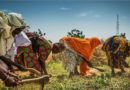 New report showcases women-led solutions for building drought resilience