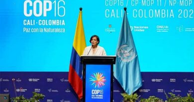 COP16: World takes crucial step to make peace with nature