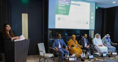 Arab regional platform for disaster risk reduction calls for better resilience