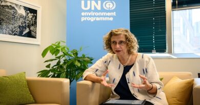 UNEP’s 2024 Annual Report calls for dramatic uptick in ambition, action for environment